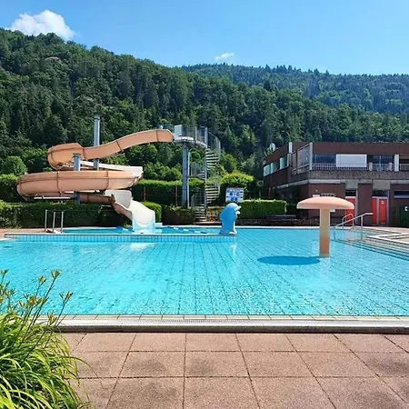 Gites A Bussang Сasa de vacaciones *
